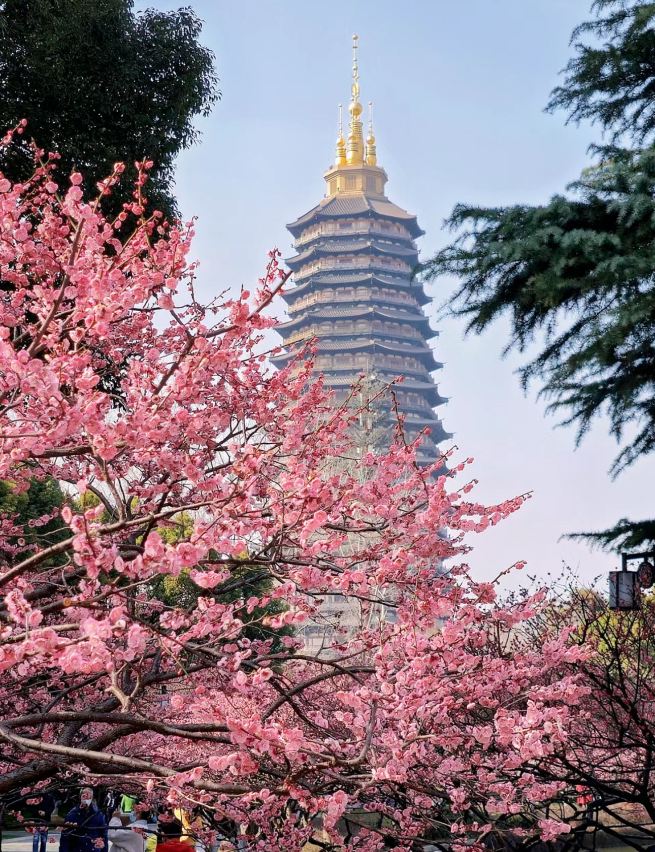 常州哪里好玩景点排名.常州哪里好玩景点排名榜？-第1张图片