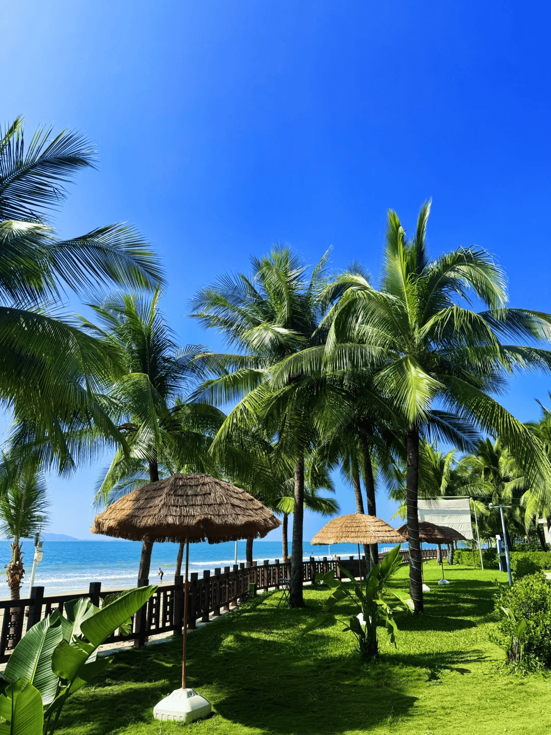 去三亚旅游攻略.跟团去三亚旅游攻略？-第1张图片