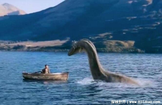 加拿大奥古布古水怪.加拿大水怪奥古布古真实存在？-第2张图片