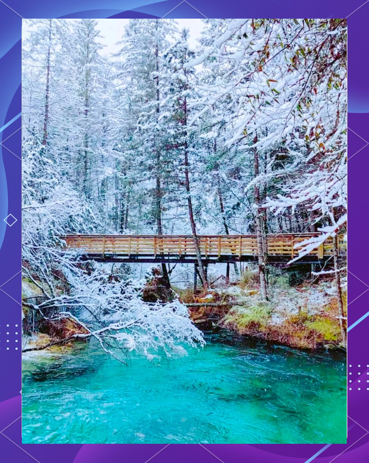 九寨沟海拔比较高多少米.九寨沟海拔比较高多少米原始森林？-第2张图片