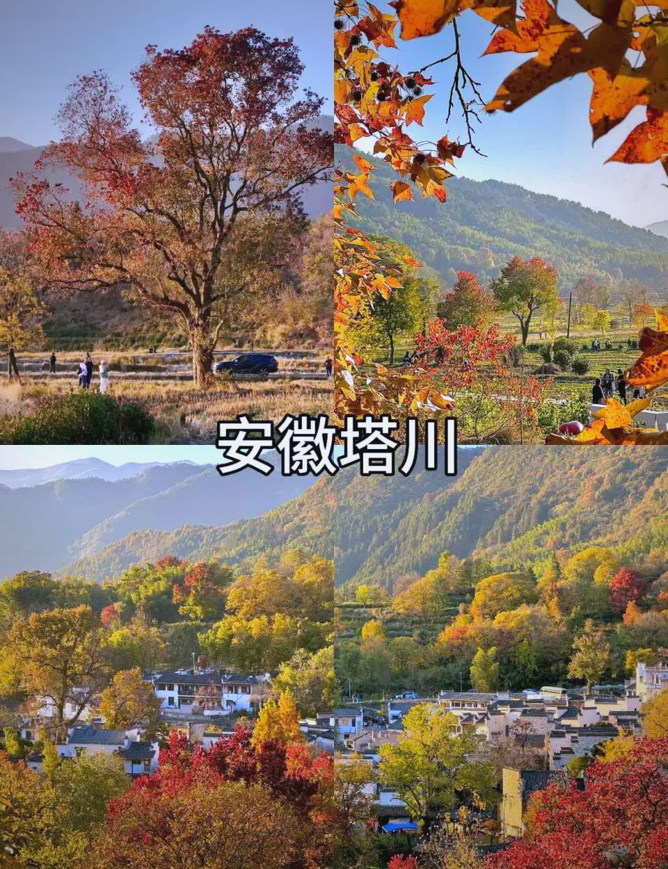 国内旅游胜地排名.国内旅游胜地排名榜？-第2张图片