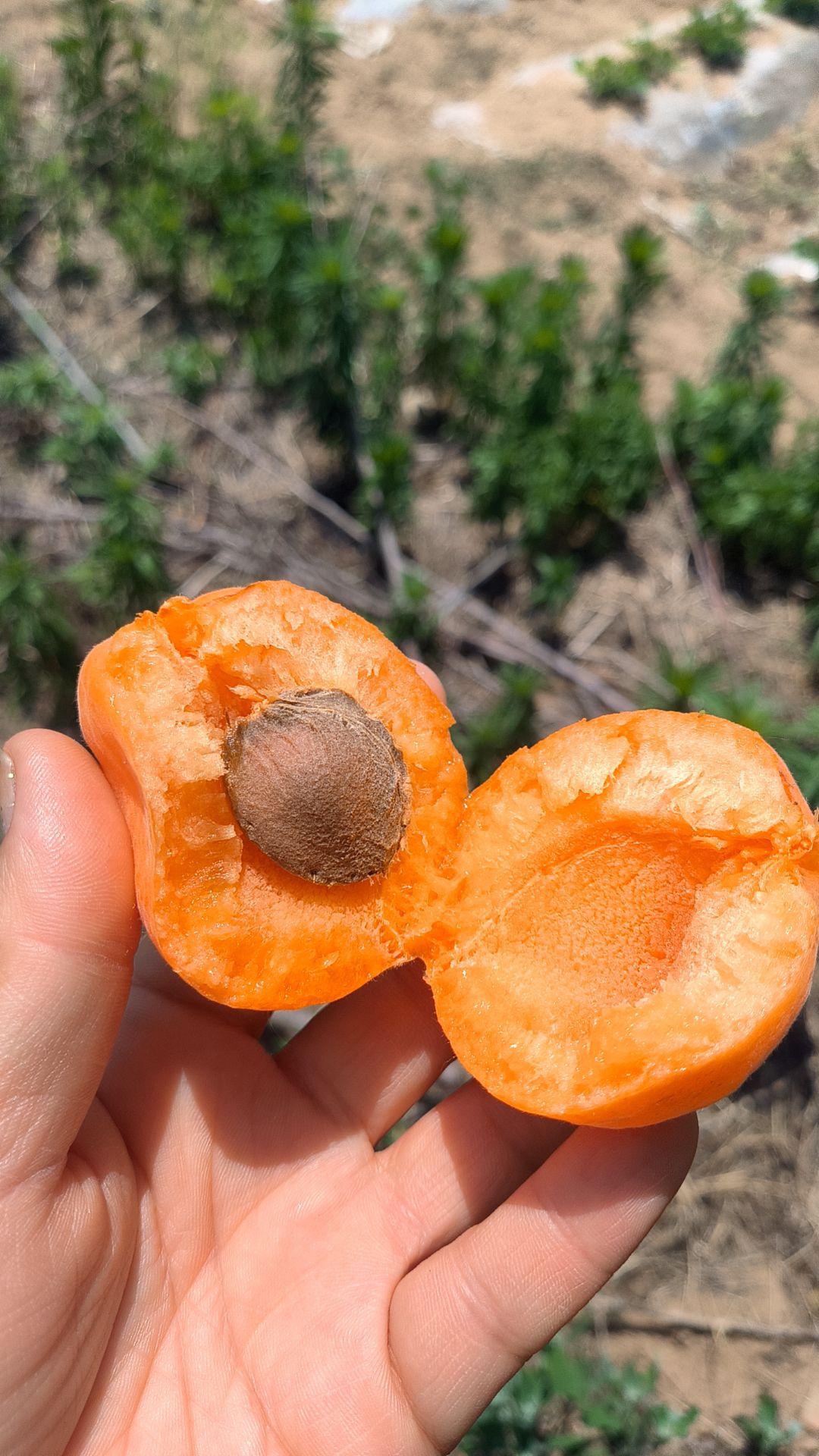 【山东旅游攻略景点必去,山东旅游攻略景点必去的地方】-第1张图片