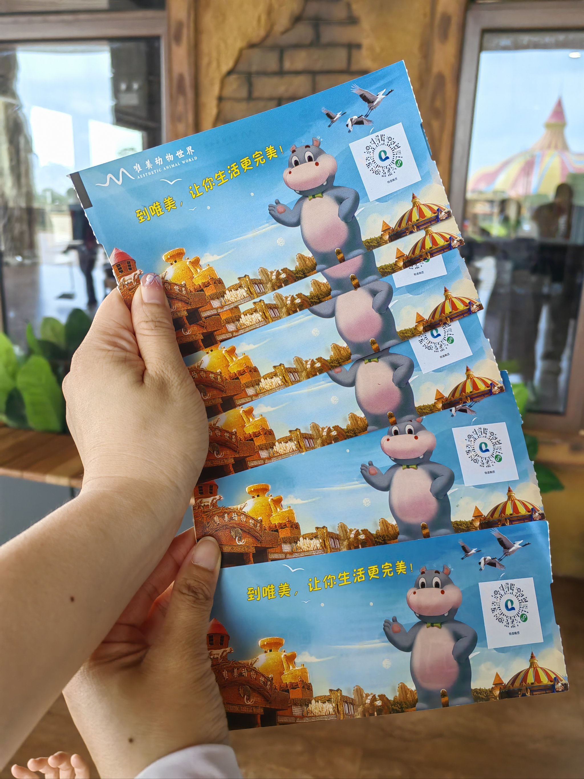 【常州淹城野生动物园门票,常州淹城野生动物园门票70岁免费吗】-第1张图片