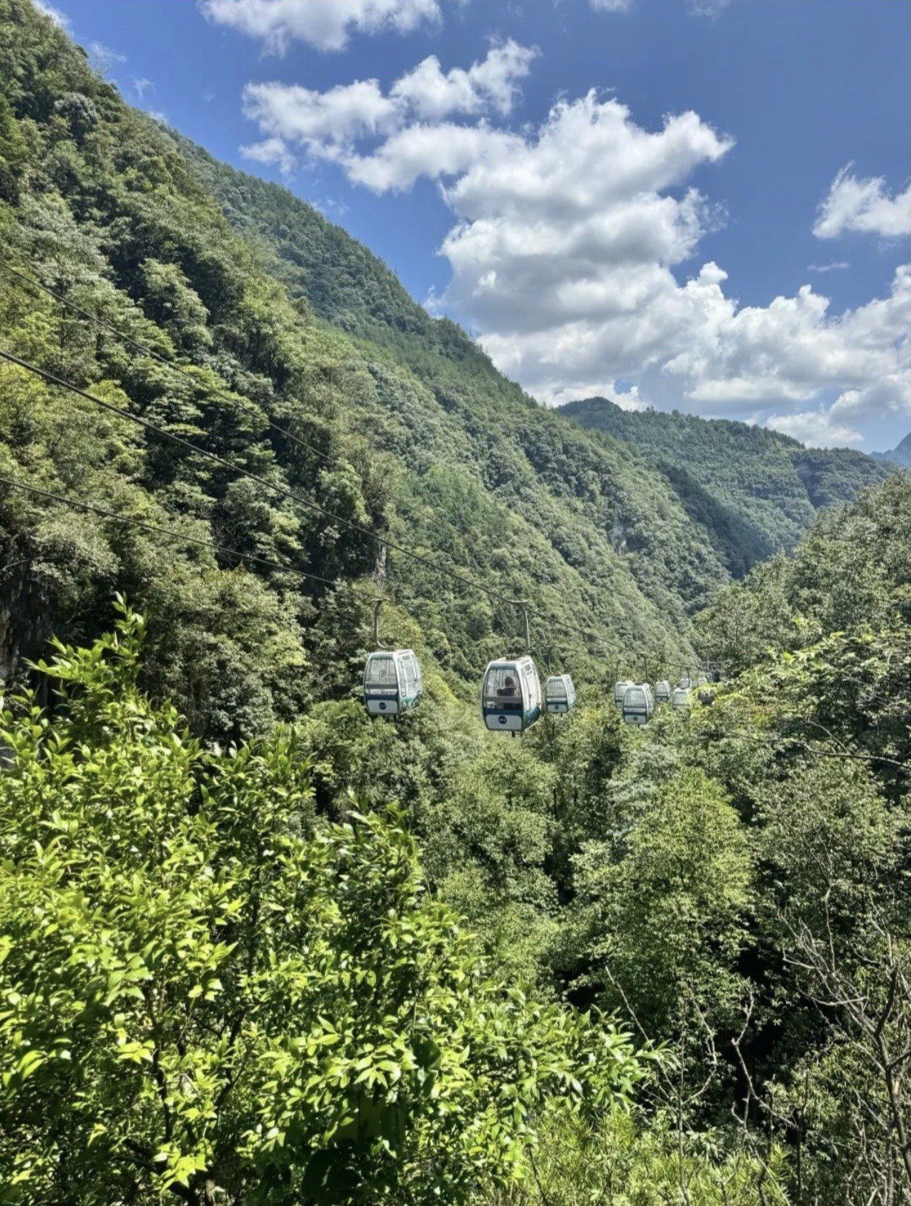 【万盛黑山谷,万盛黑山谷景区】-第2张图片