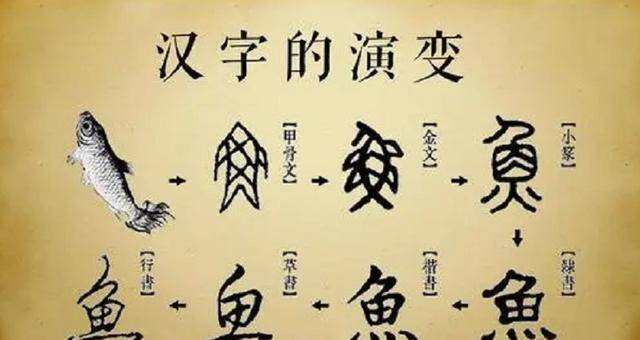 汉字演变过程时间排序(汉字演变过程时间排序怎么写)-第3张图片