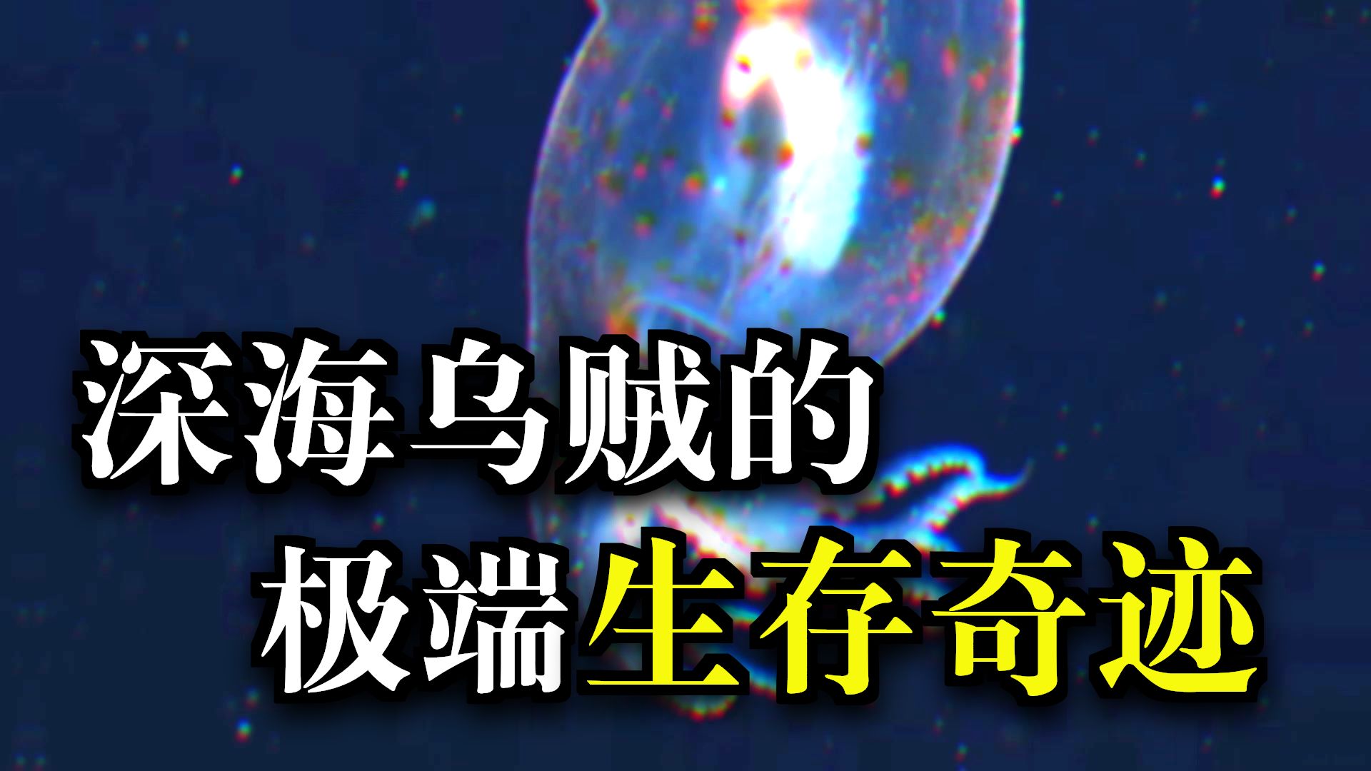 前十诡异科学事实(前十诡异发明)-第3张图片