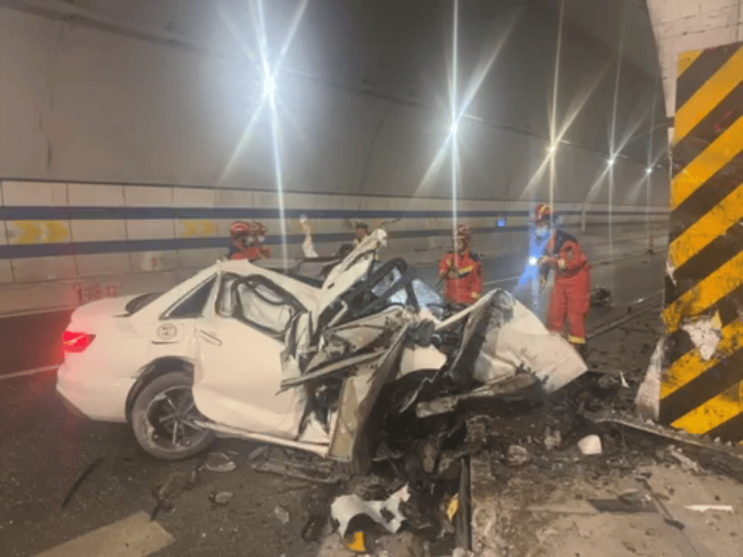 中国大蛇事件被大运汽车撞死(中国巨蟒被大运汽车撞死)-第2张图片