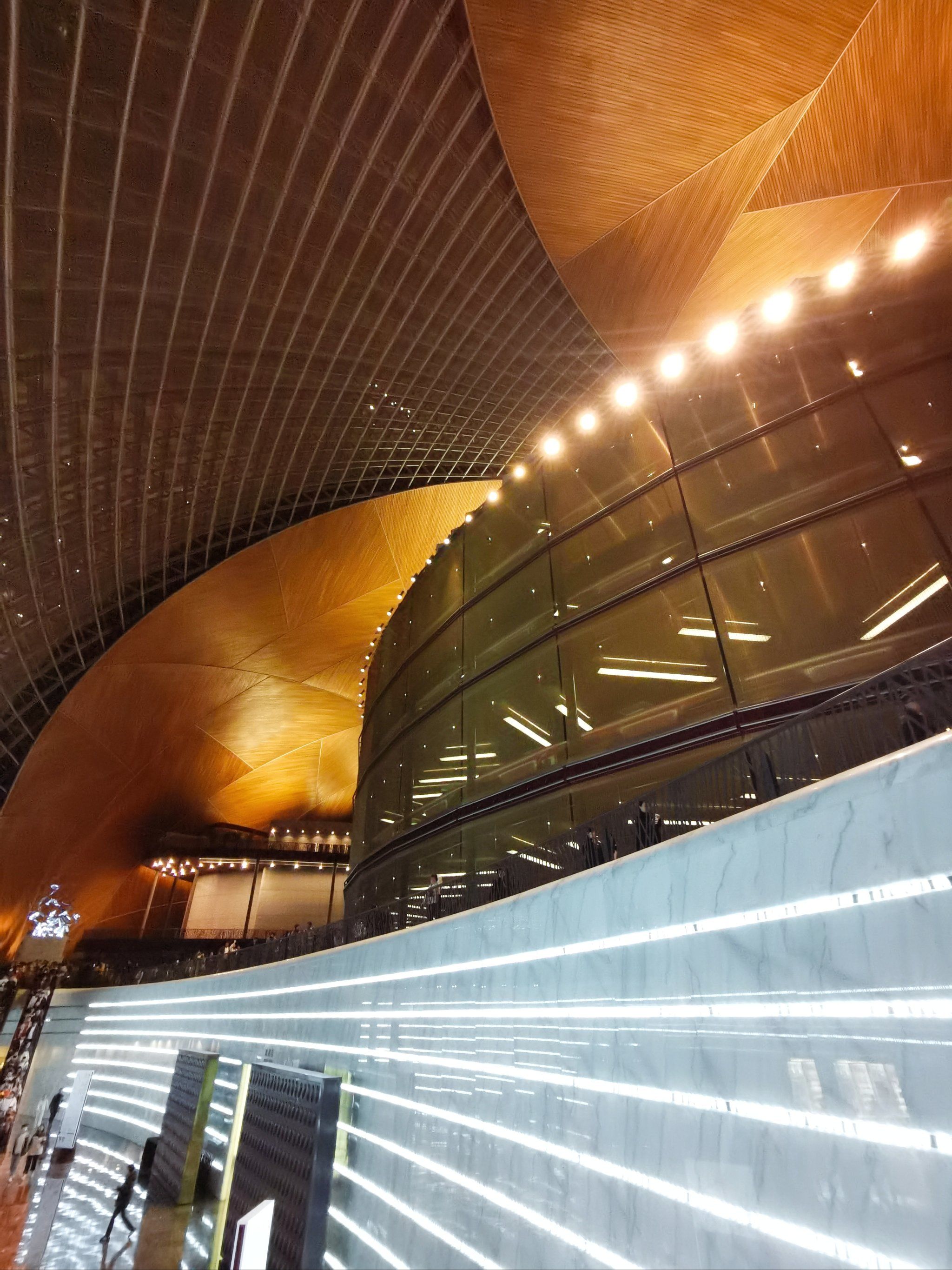 国家大剧院官方网站.国家大剧院官方网站免费观看?-第1张图片