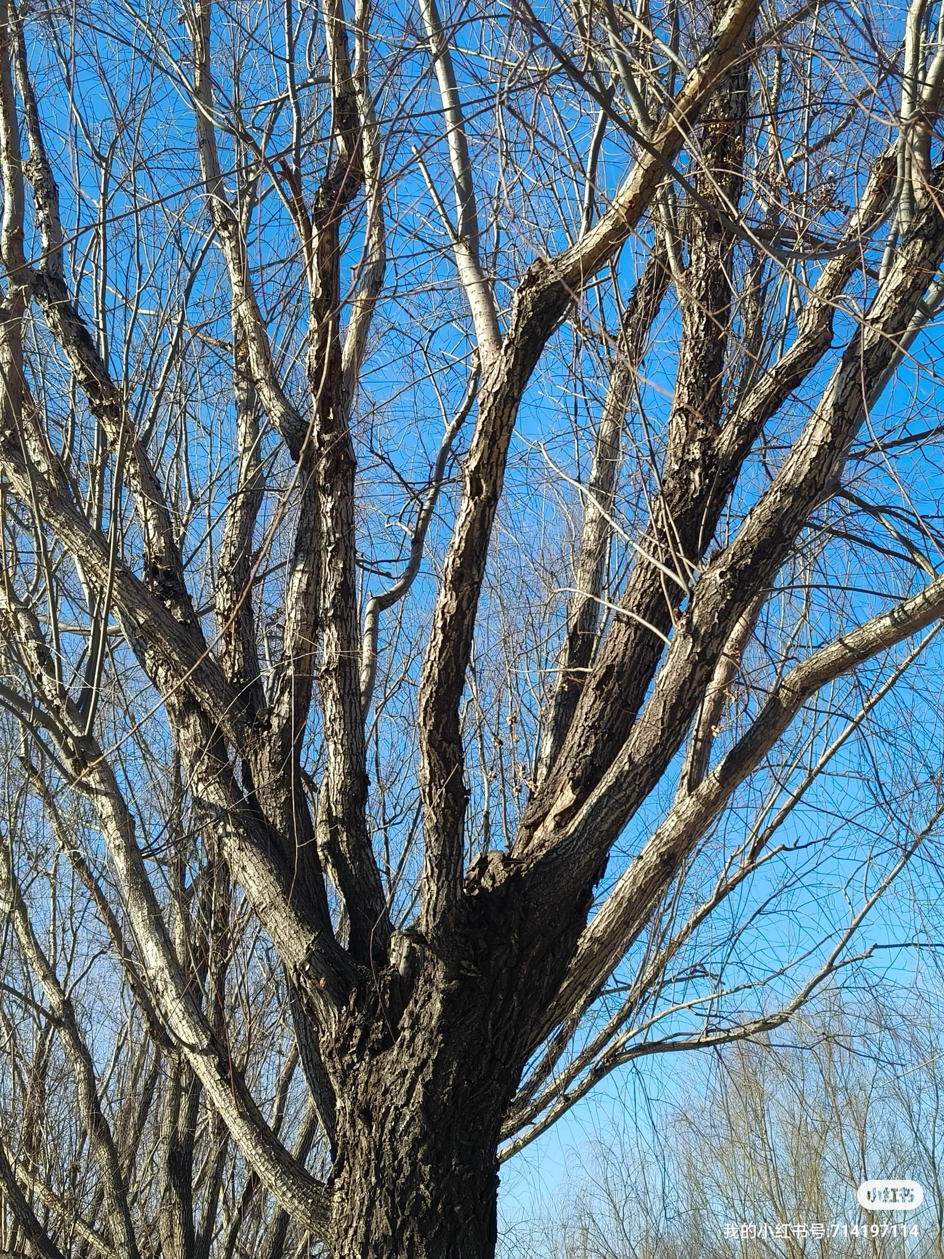 永州迥龙塔.永州迥龙塔图片?-第2张图片