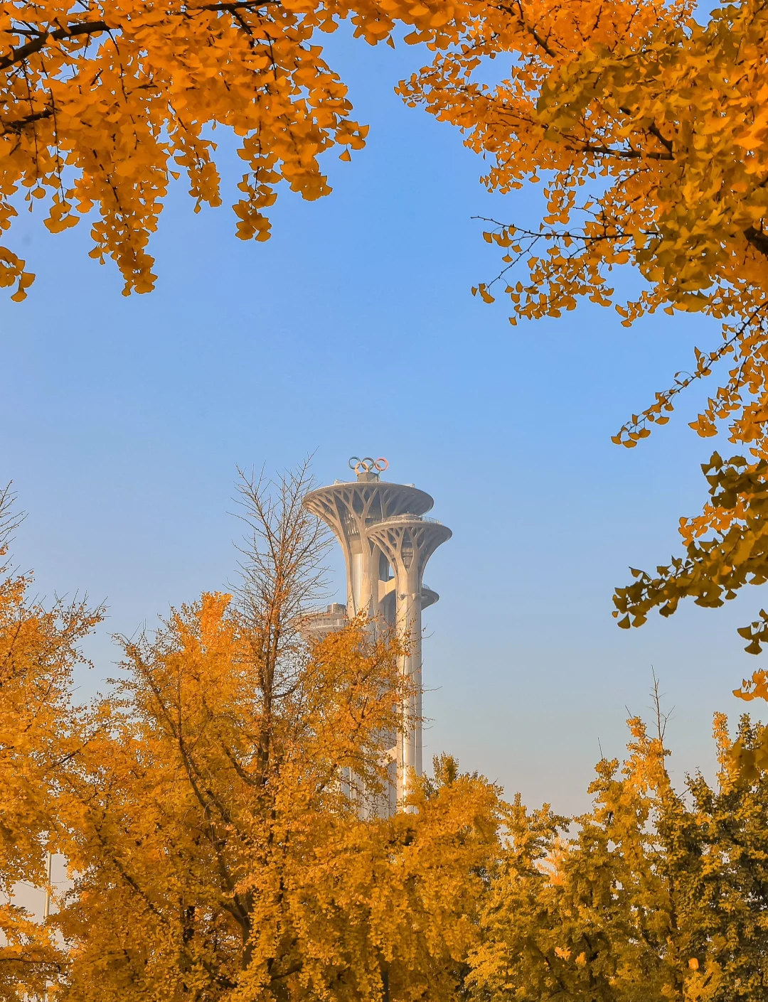 北京一日游比较好地方/北京一日游一览表-第1张图片