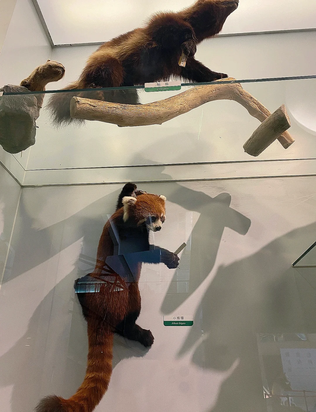 国家博物馆线上展厅.国家博物馆线上展厅门票？-第1张图片