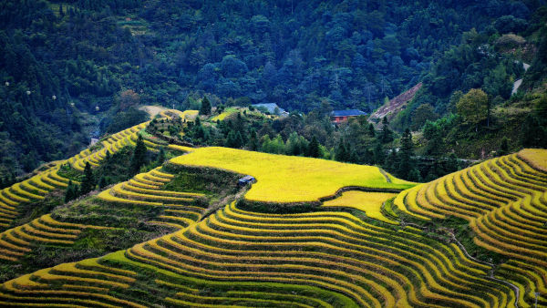 龙胜梯田/龙胜梯田图片高清-第1张图片