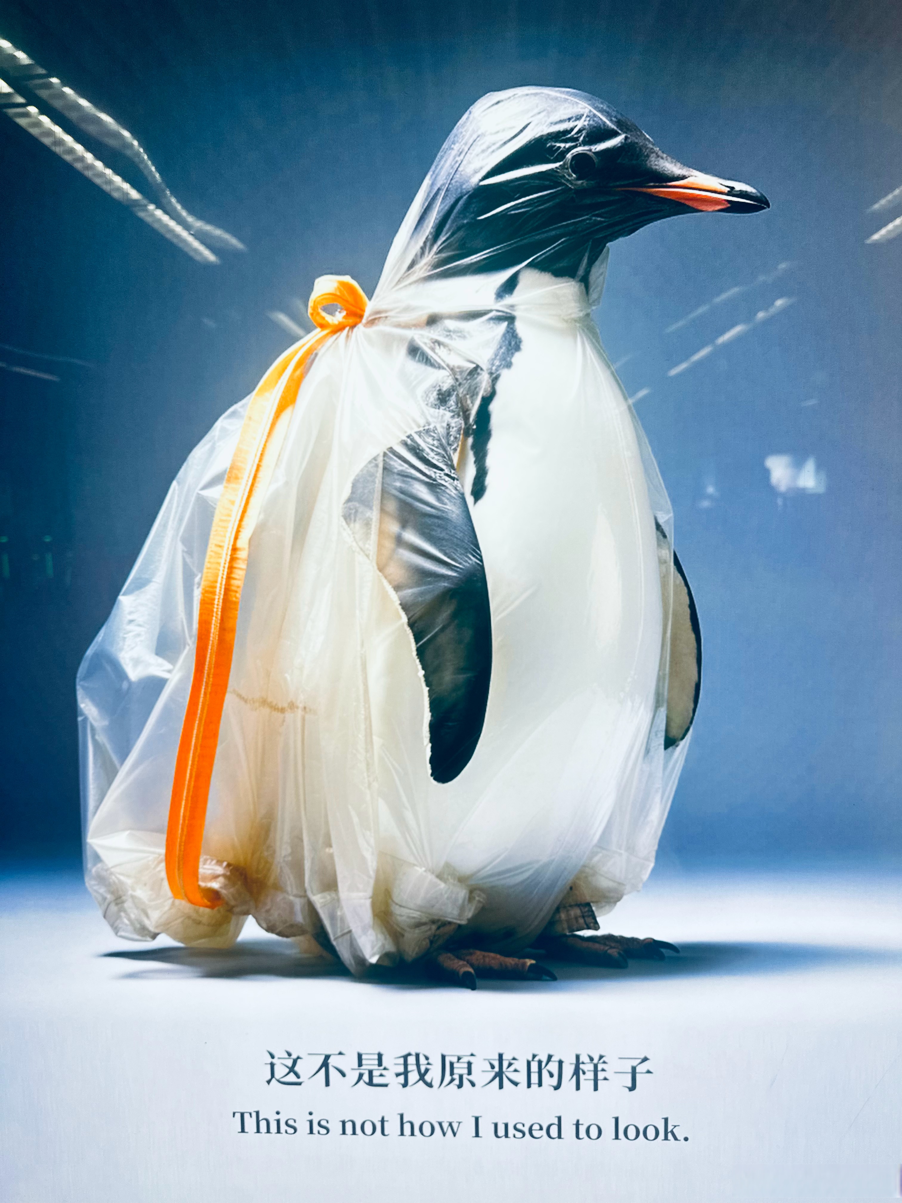 不明水下巨型生物(电影水下不明生物)-第2张图片