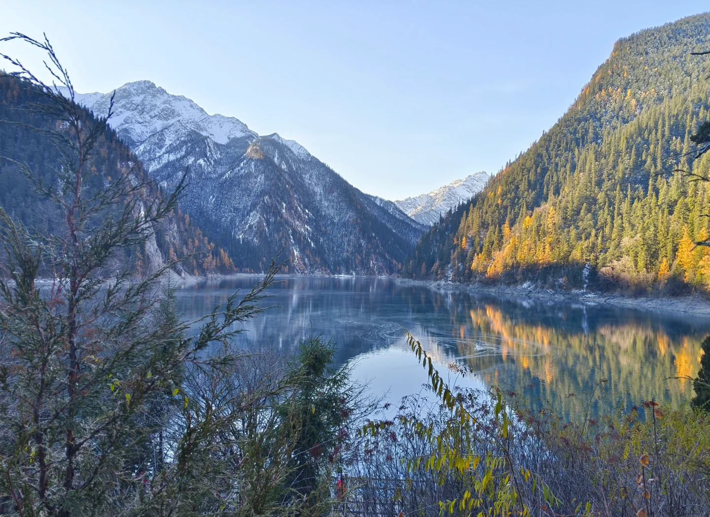 九寨沟两日游攻略(成都随团九寨沟两日游)-第1张图片