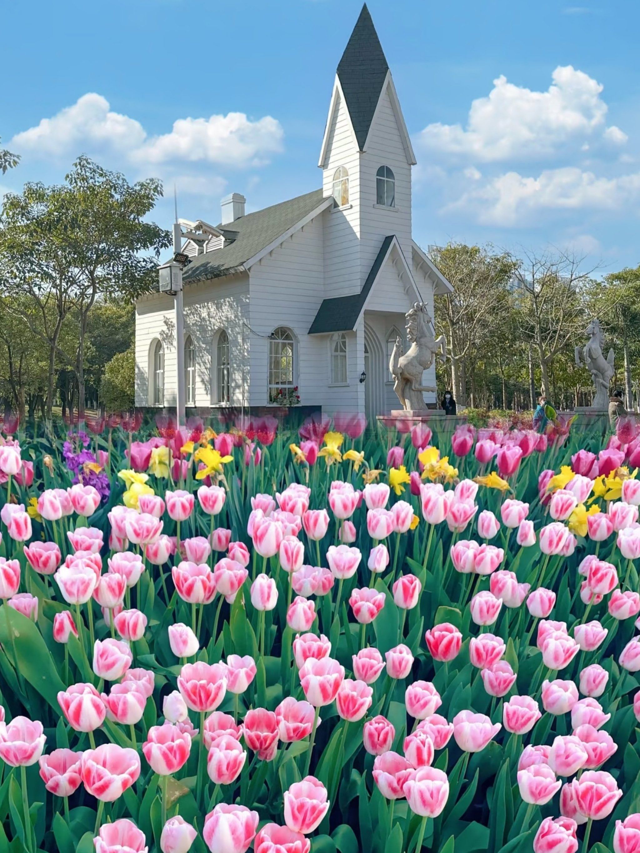 【福建厦门旅游必去前十景点,福建厦门旅游必去前十景点推荐】-第2张图片