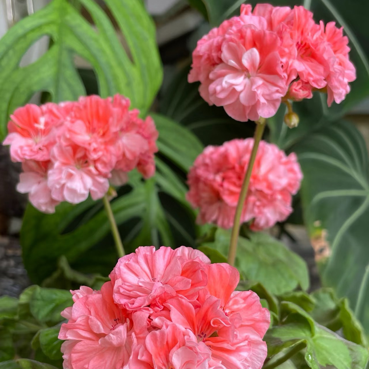 【前十果酱品牌,前十果酱品牌排名榜】-第3张图片