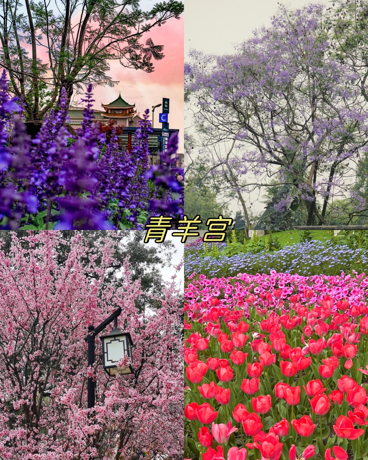 成都的景点排名榜.成都的景点排名榜有哪些？-第2张图片