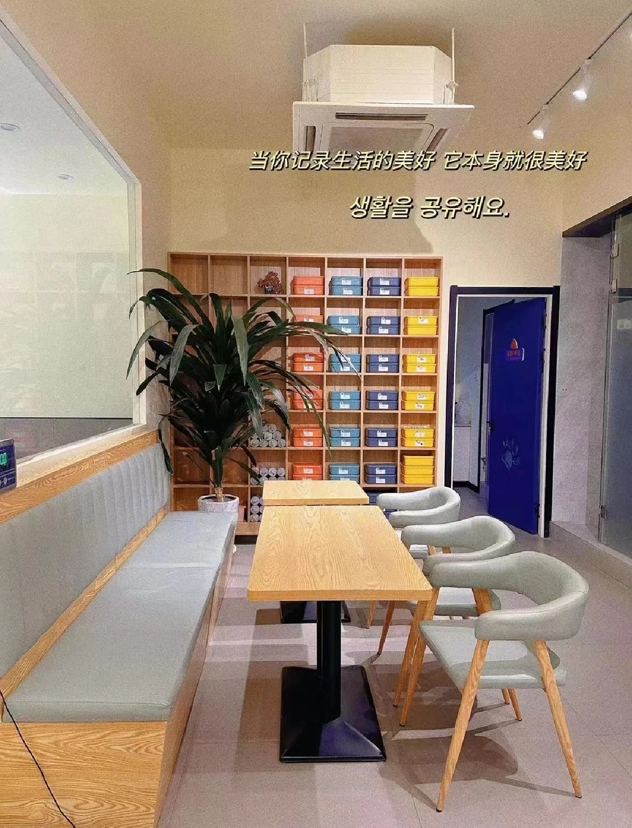 疫情地区宠物店寄养(疫情期间宠物店的宠物怎么办)-第1张图片