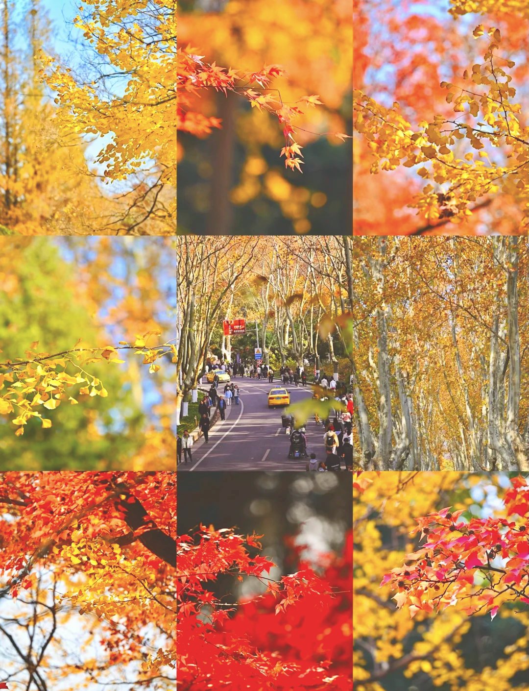 南京游玩攻略两日游(南京游玩攻略两日游路线)-第1张图片