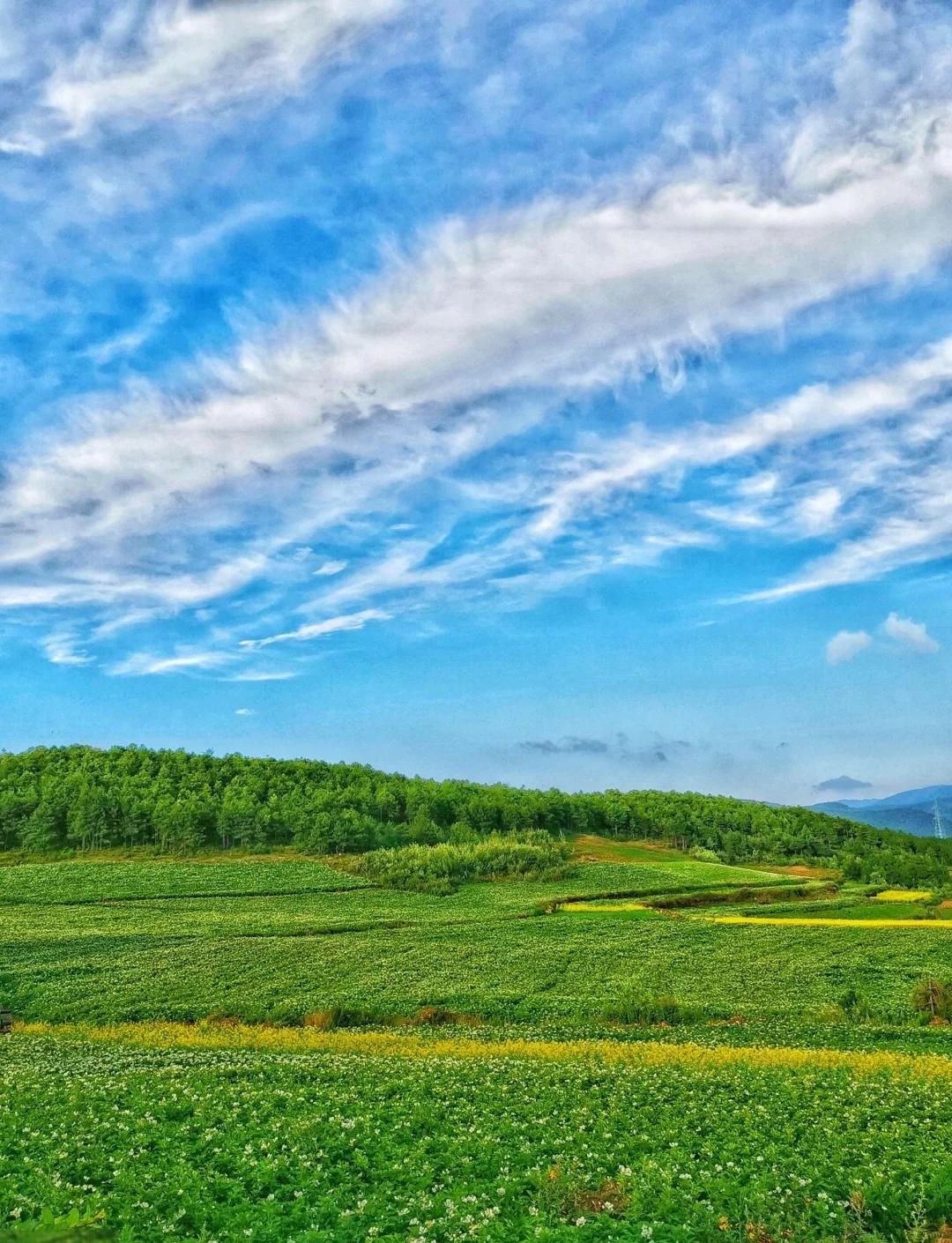 云南旅游攻略5日游.云南旅游攻略5日游自由行？-第1张图片
