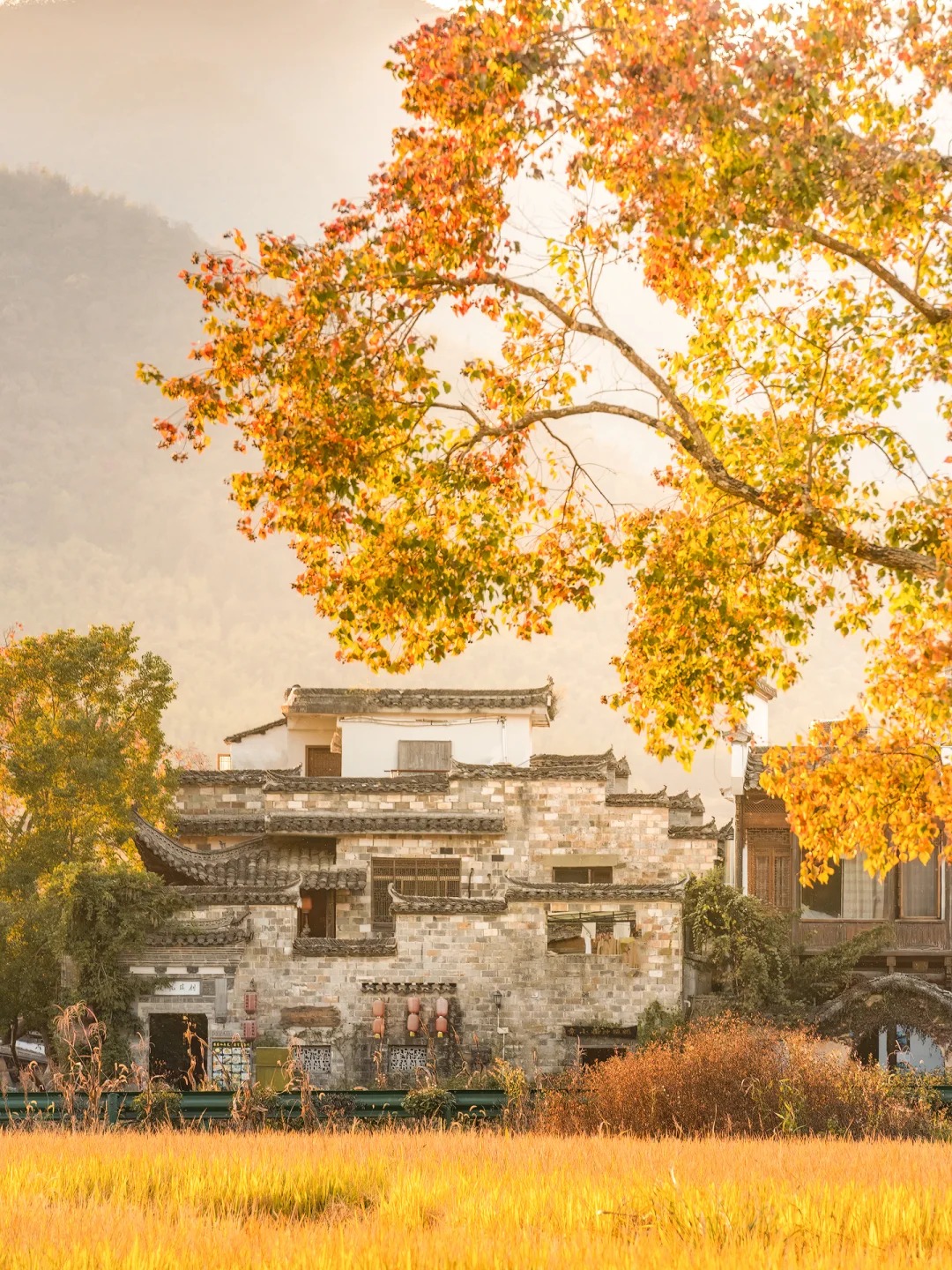 江西南昌旅游必去前十景点/江西南昌旅游必去前十景点秋天-第1张图片