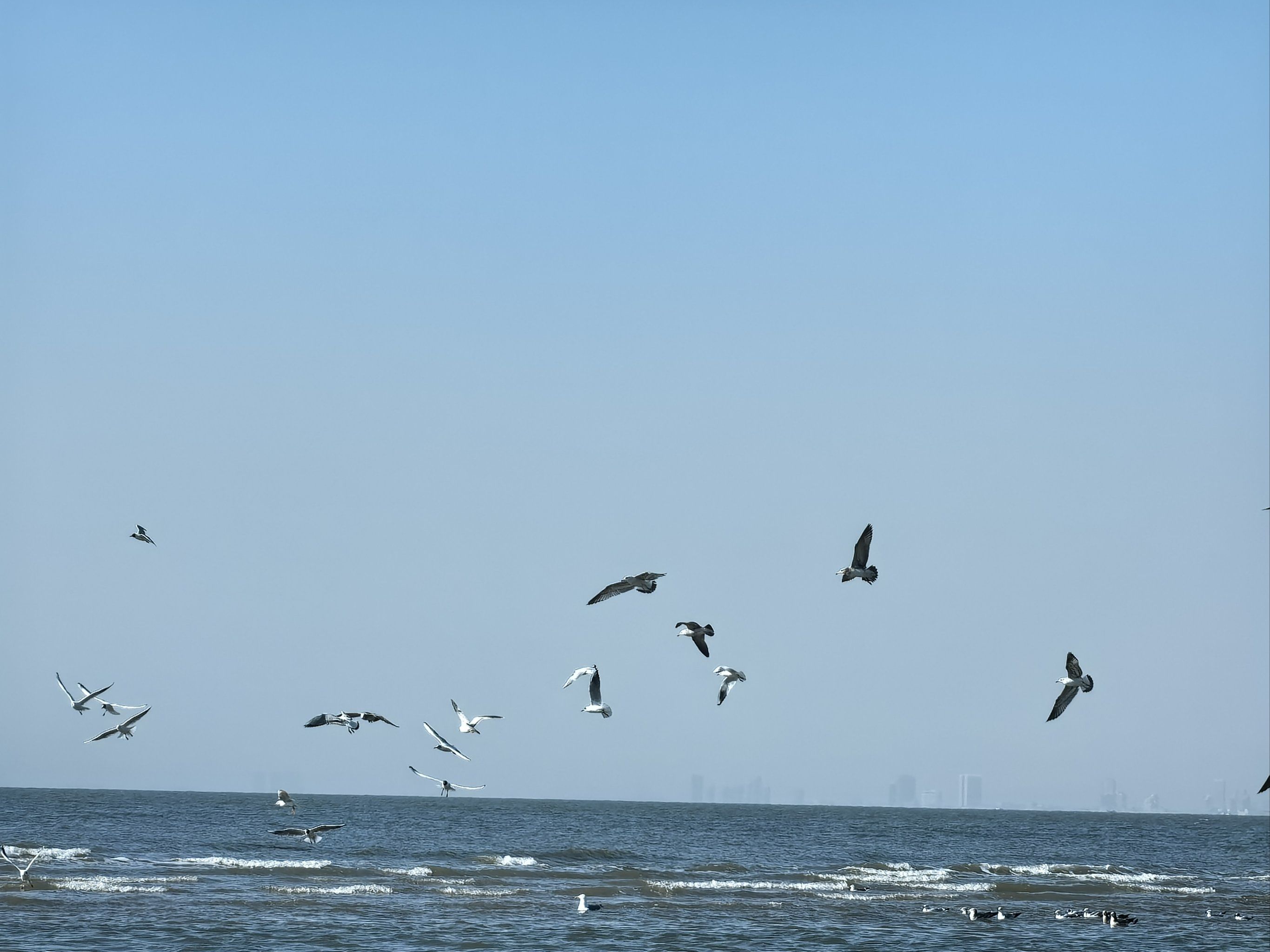 北戴河适合几月份去(10月份去北戴河合适吗)-第1张图片