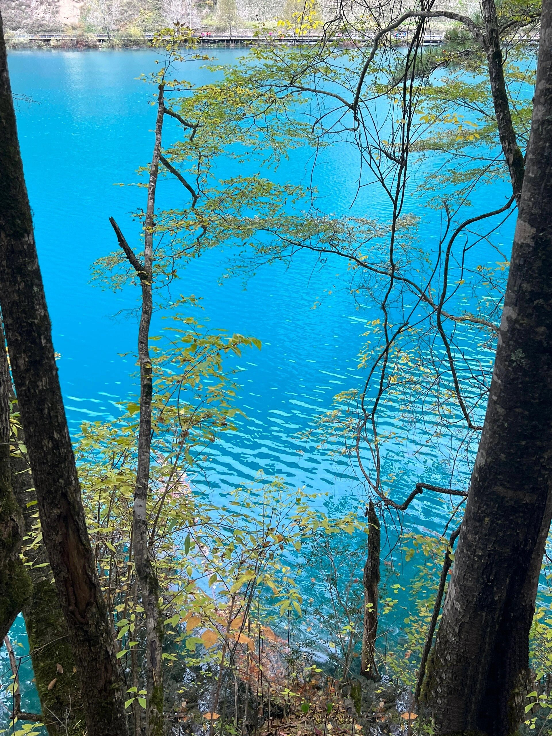 九寨沟自由行攻略最详细(黄龙和九寨沟有必要都去吗)-第2张图片