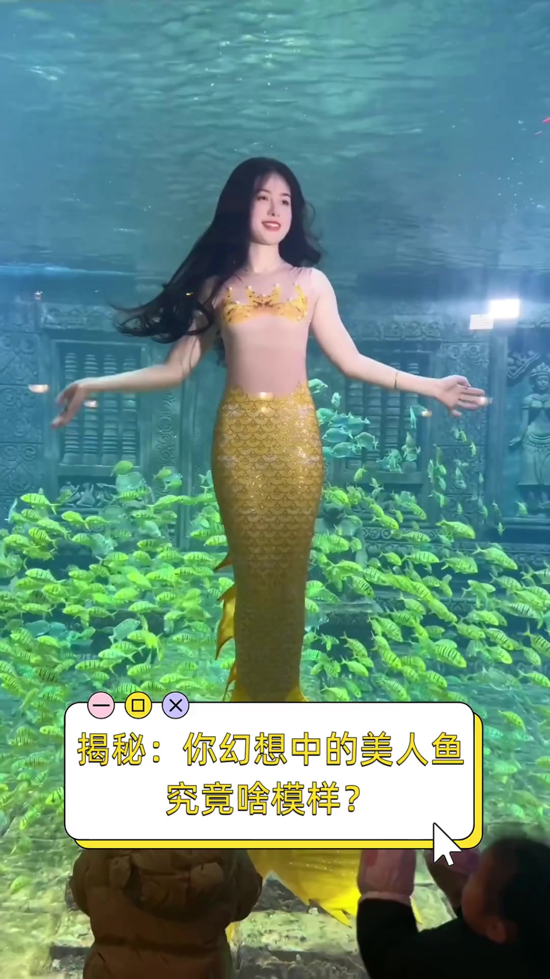 真正的美人鱼长什么样子.真正的美人鱼有多漂亮？-第1张图片