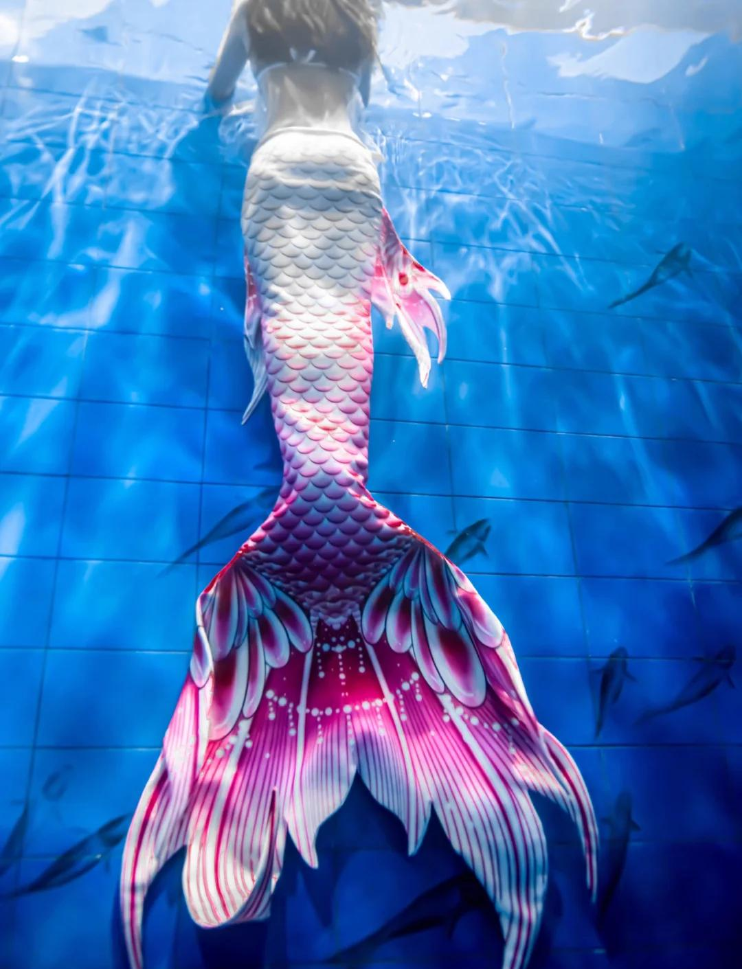 世界上美人鱼真的存在吗.世界上美人鱼真的存在吗图片？-第3张图片