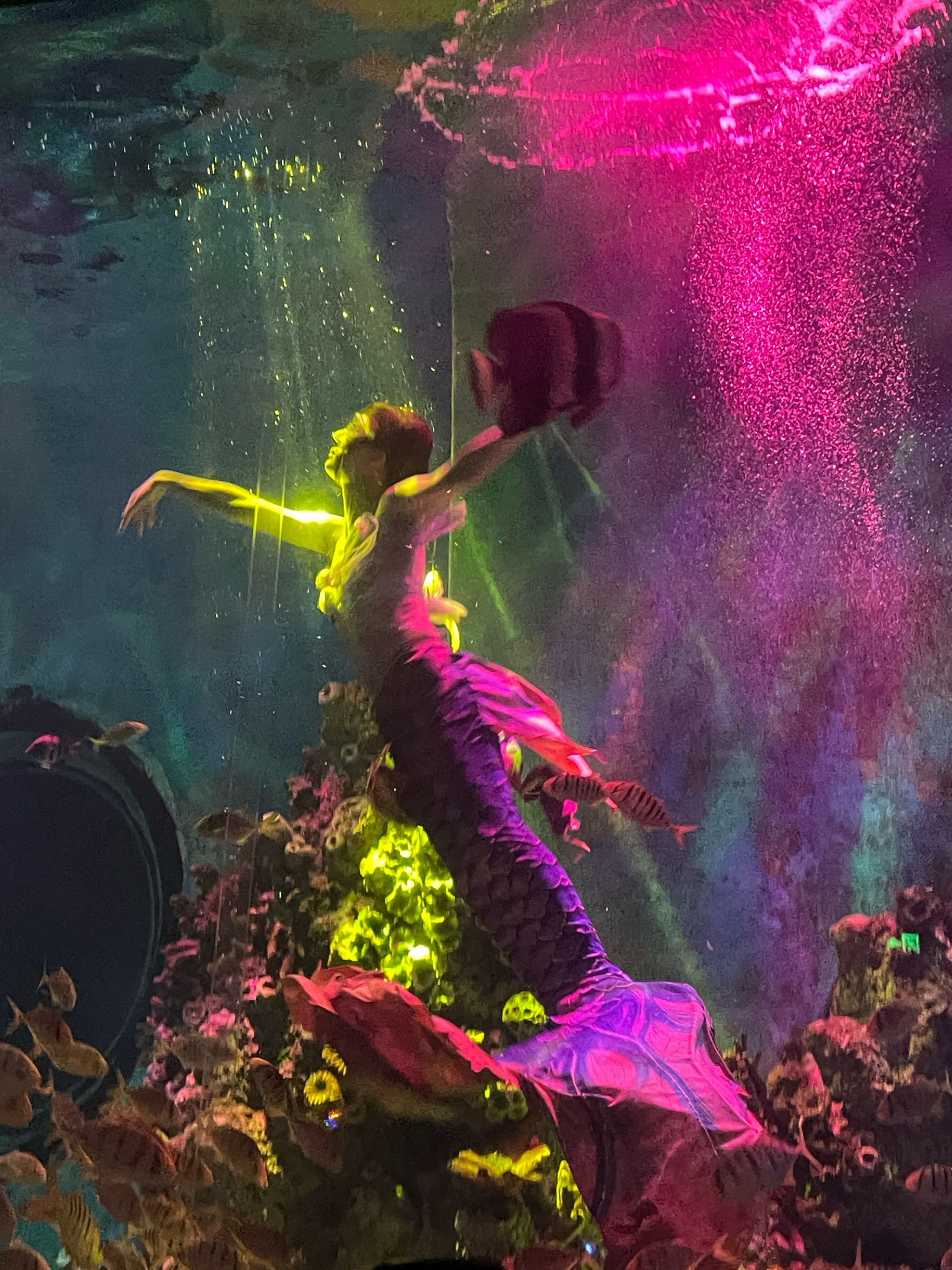 世界上美人鱼真的存在吗.世界上美人鱼真的存在吗图片？-第2张图片