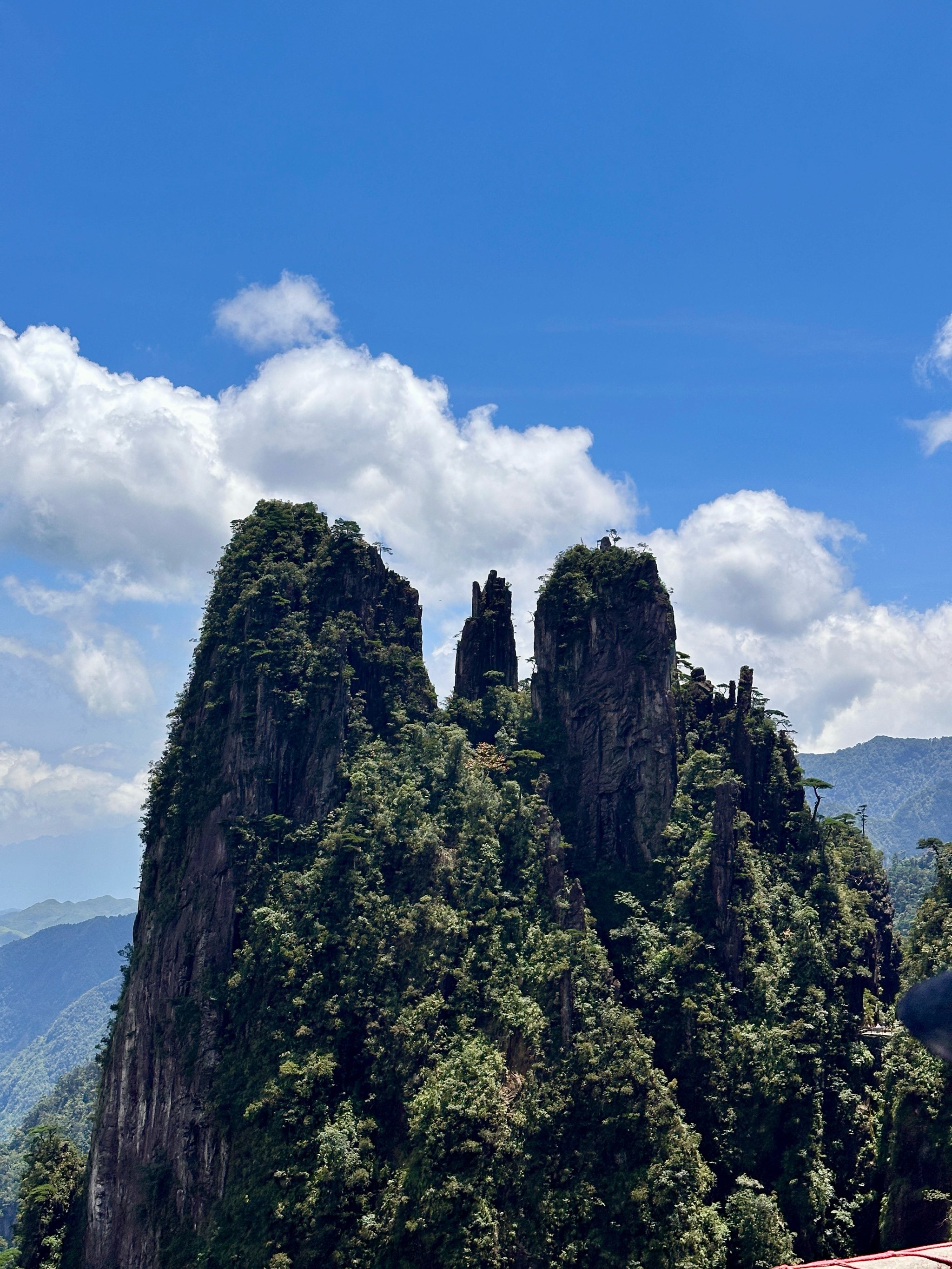 【莽山国家森林公园门票,莽山国家森林公园门票退役军人有优惠吗】-第1张图片