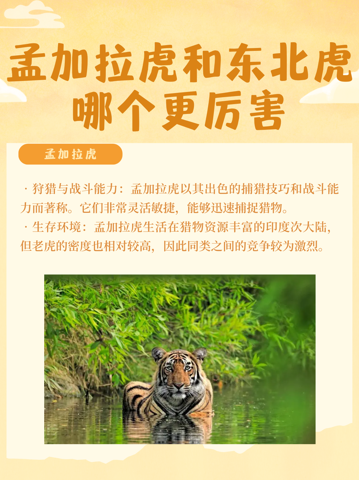 巴厘虎和爪哇虎(巴厘虎和爪哇虎是一种吗)-第2张图片