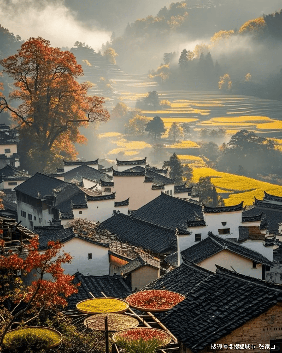 【江西旅游必去前十景点婺源,江西旅游必去前十景点婺源天气】-第1张图片