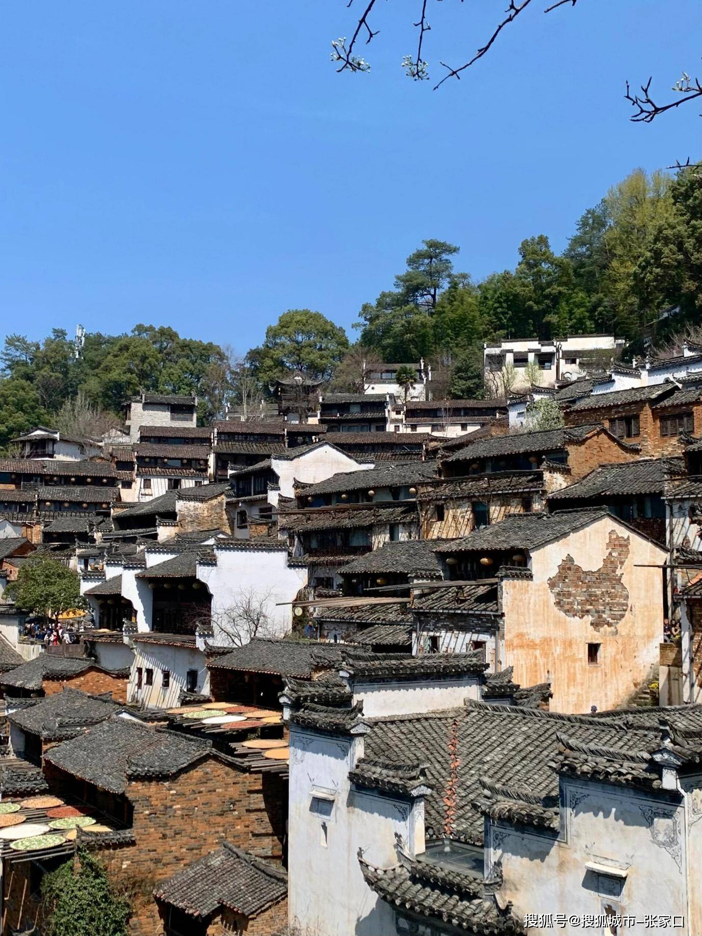 【江西旅游必去前十景点婺源,江西旅游必去前十景点婺源天气】-第2张图片